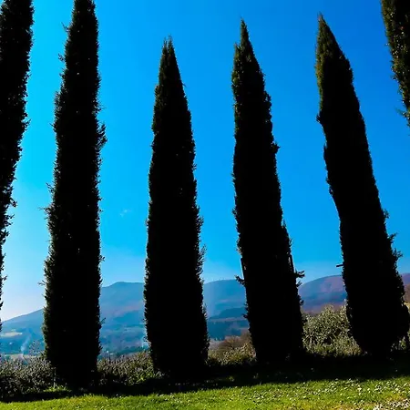 Villa Magnolia House Cetona