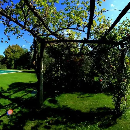 Villa Magnolia House *