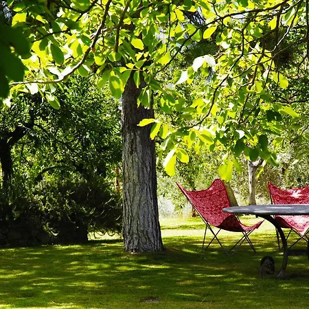 Villa Magnolia House Cetona